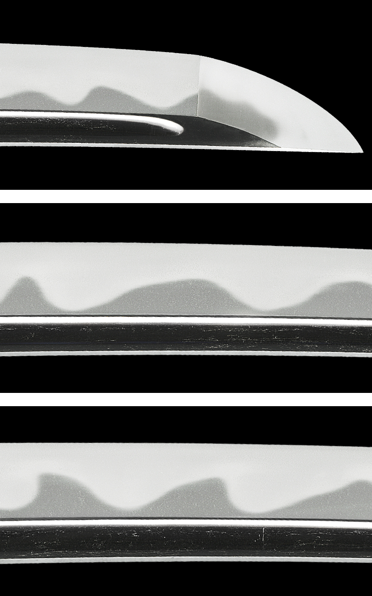 脇差し 津田越前守助廣(丸津田) Wakizashi:Tsuda Echizennokami